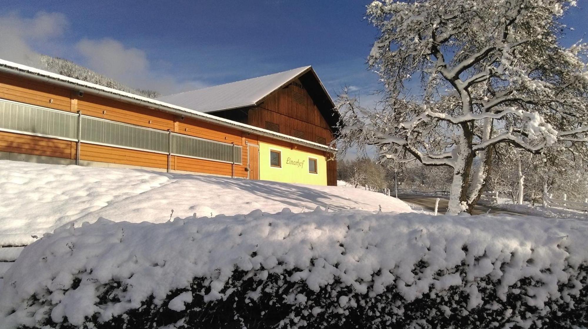 Linarhof Apartment Urlaub Am Bio Bauernhof 하우스 임 엔슈탈 외부 사진