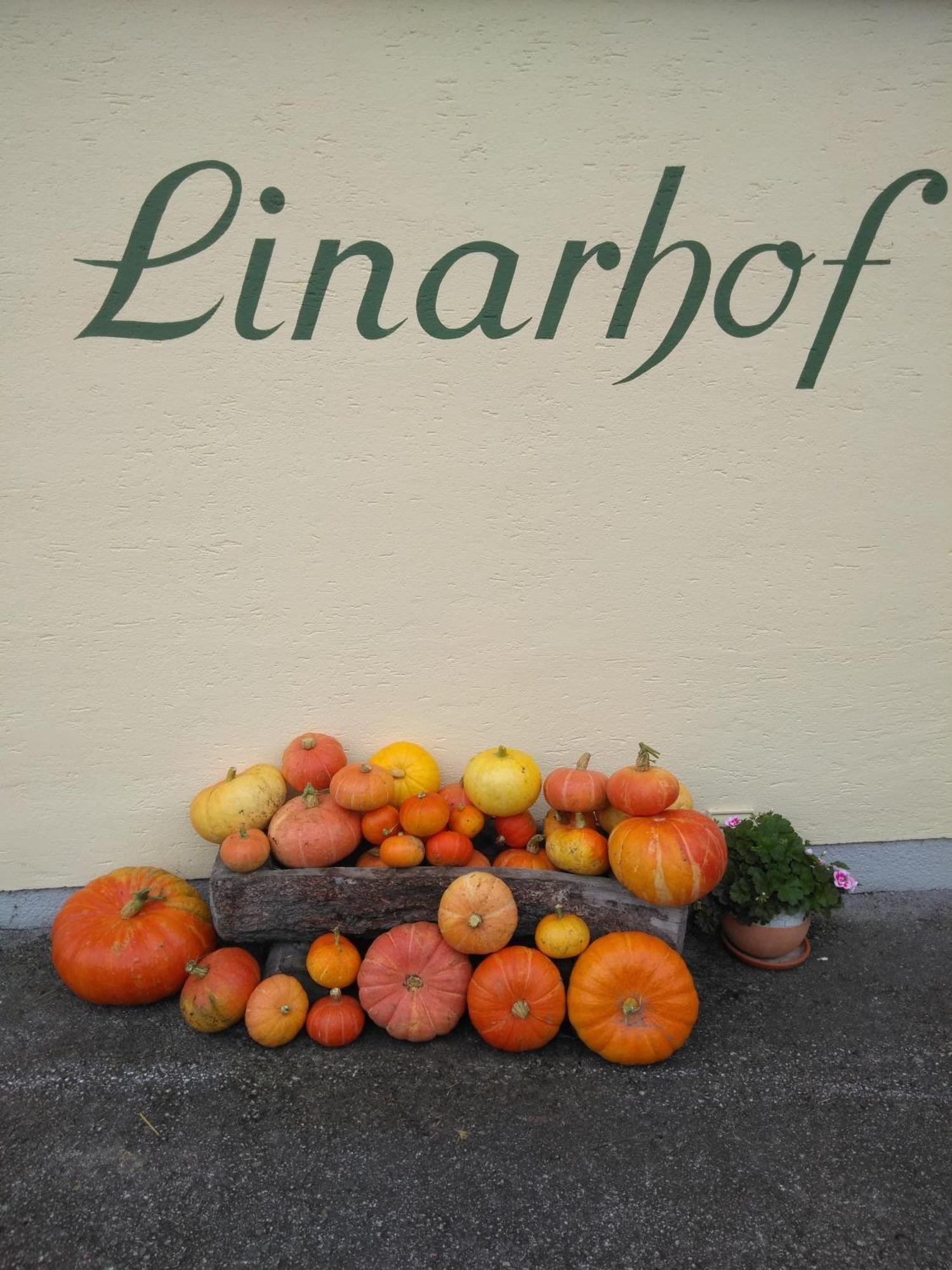 Linarhof Apartment Urlaub Am Bio Bauernhof 하우스 임 엔슈탈 외부 사진